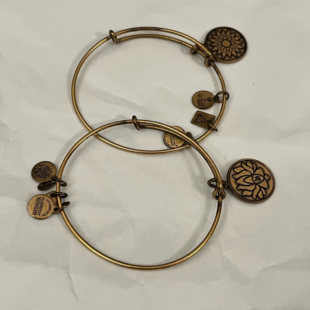 Set of 2 Alex and Ani Charm Bracelets